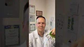 Добро пожаловать на мой канал!