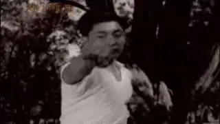 Chen Zhaokui (1928-1981)