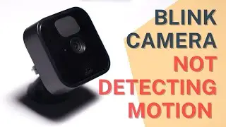 Blink Camera Not Detecting Motion: Solved