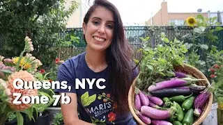 June Full Garden Tour + Harvest // Mari's Garden and Kitchen | 2024