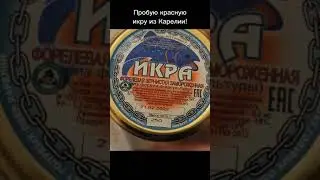 Пробую красную икру из Карелии! #еда #россия