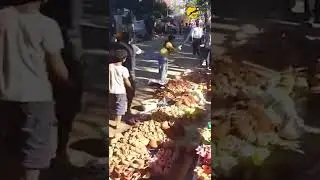 लखनऊ: दिवाली पर महिला डॉक्टर ने 'बल्ला' मार-मार कर दुकानदारों के दीयों को फोड़ा