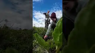 Казанский камень — поход на Сухогорский хребет