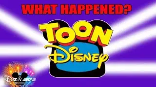 What Happened to TOON DISNEY?