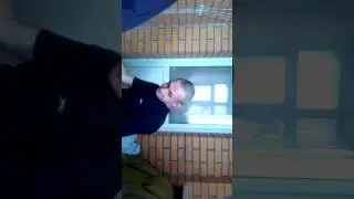 Мопс не гребень=2