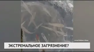 Новости 