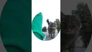 Вся моя жизнь в тг, подписывайся