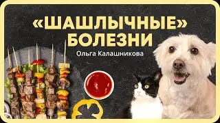 «Шашлычные» болезни