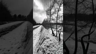 Nachts im Spargelfeld (grün). Lampertheim