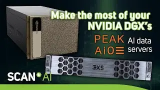 Make the most of your NVIDIA DGX's with PEAK:AIO AI data servers
