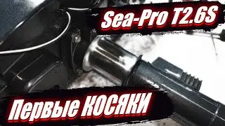 First Problems |Sea-pro T2.6S|