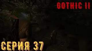 Говорящий с овцами ► Готика 2\ Gothic II ► Серия 37 ◄ |Полное прохождение