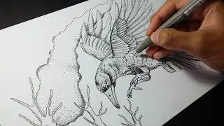 The Bird
