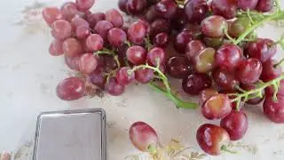 ГФ АНДРЕЙКА