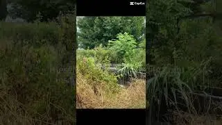 Çok doğru söylemiş Sabahattin Ali…