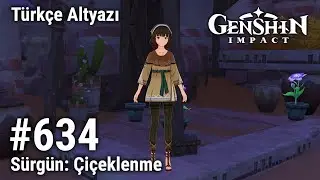 Genshin Impact 