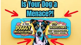 Is Your Dog Misbehaving? Training Tips to Turn Things Around