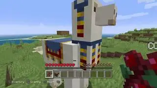 Minecraft wit the crew