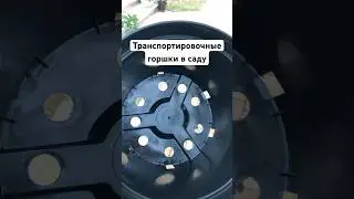 Транспортировочные горшки отличная идея для сада #plants #растения #цветы #flowers #сад #garden
