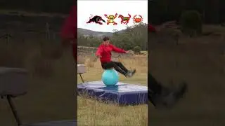 #Fails #BehindTheScenes - How animals Parkour.