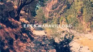 Phillip Hill - Eres Maravilloso (Vídeo Lírico)