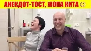 АНЕКДОТ-ТОСТ,  ЖОПА КИТА 