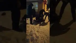 Массовая драка пьяных мамаш #яжемать