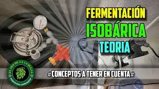 FERMENTACIÓN ISOBÁRICA en Barril Cornelius. TEORÍA y procedimiento.