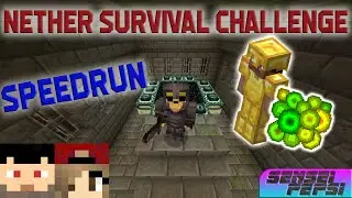NETHER SPEEDRUN CHALLENGE | w/DawnPhoenix & Fluxuate