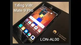 Tiếng Việt & CH Play Huawei Mate 9 Pro LON-AL00 Android 9 EMUI 9.1.0 OK