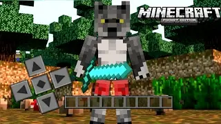 PVP MONTAGEM