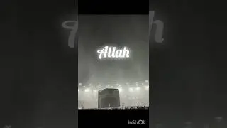 Relaxing, sleeping Allah hu #allah #relaxing #shorts