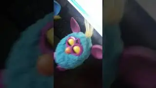 игра с ферби