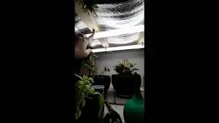Как сделать лампу для подсветки рассады своими руками