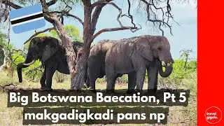 Big Botswana Baecation, Pt 5: Makgadikgadi Pans National Park - Khumaga & Boteti River (Overlanding)