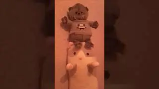 кот Басик и кот батон 👉👈😳