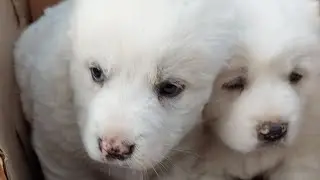 05.02.2023. Шымкент. 