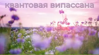 Квантовая ВИПАССАНА - что это?