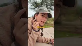 Mecanismo de defensa de facóqueros - Safaris a medida