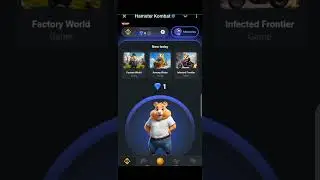Summary of Hamster kombat season 1 |What's Next on hamster kombat season 2