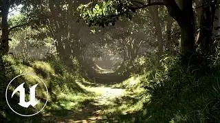 Forest Path Environment in UE5 | Step-by-Step Tutorial