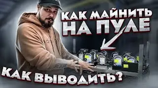 Chia - Как Майнить На Пуле? / Как Выводить? / Все Что Мы Узнали