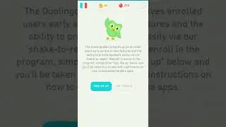 New features on duolingo