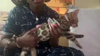 huge Temu & Shein unboxing, leopard mixed cat, packing for my okinawa trip