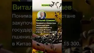 Диспаритет цен на рынке 🌽🌾🌱 #рынок #цены #новости ##дизель #семена #пшеница #масло