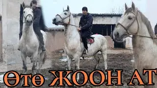 САТЫЛДЫ