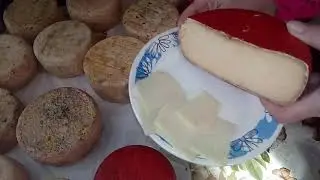 Всё про сыр, дегустация