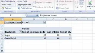 Pivot table in Microsoft Excel 2007@COMPUTEREXCELSOLUTION