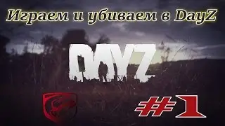 Играем и убиваем в DayZ