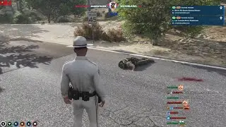 NoPixel 3.0 funny moments #9